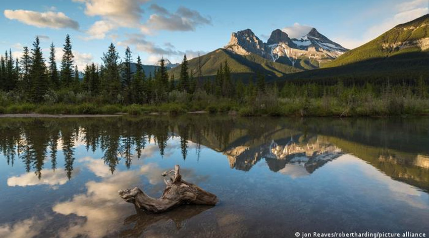 Los bosques y selvas más importantes del mundo necesitan protección/Los bosques boreales de Canadá