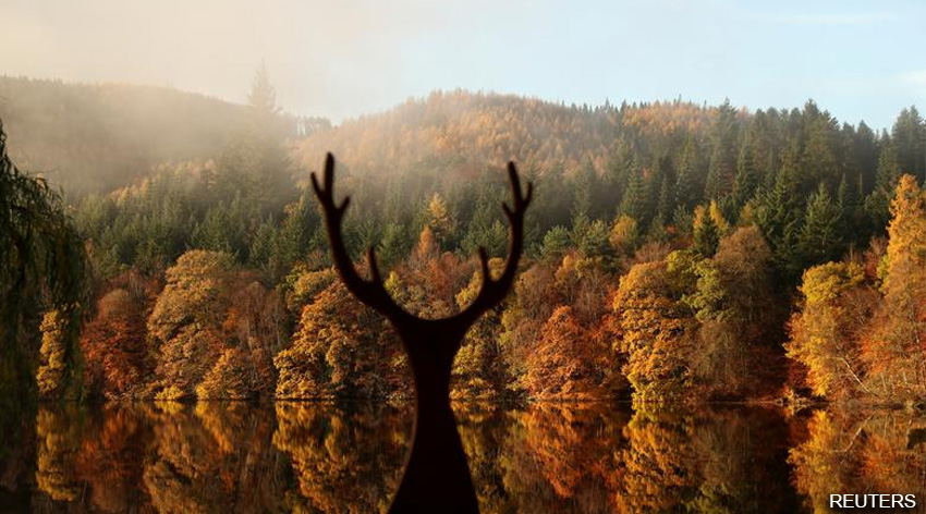 OTOÑO… La silueta de un ciervo se recorta en Loch Faskally, Escocia.