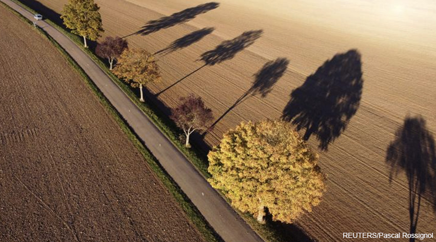 Otoño francés