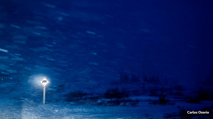 Un signo de cruce de osos polares es iluminado durante una tormenta de nieve en Churchill, Manitoba, Canadá.