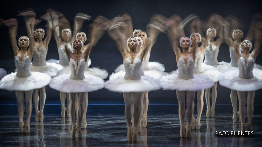 ‘El lago de los cisnes’ en el Teatro de la Maestranza de Sevilla.