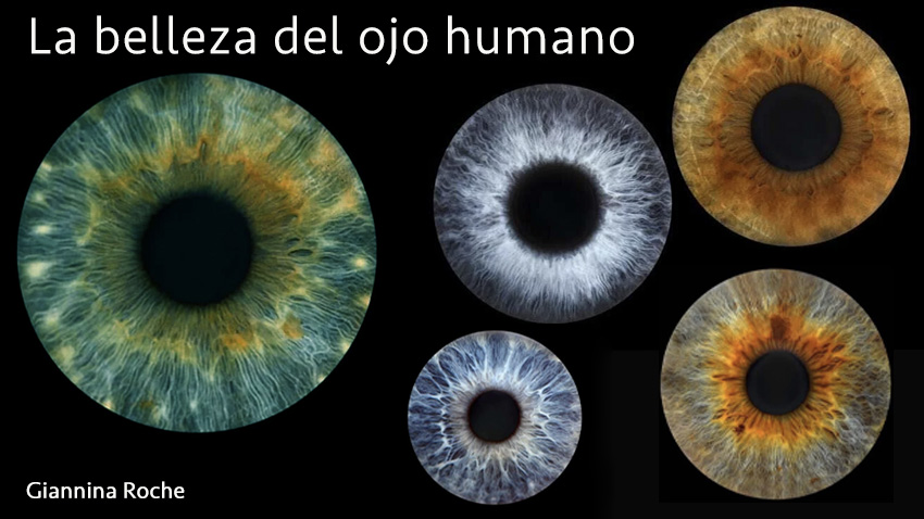 Giannina Roche presenta los ojos  como una pieza de arte