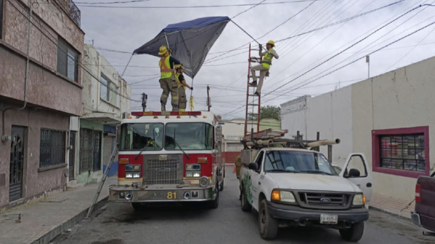 <strong>Atiende Protección Civil de Saltillo reportes ante fuertes vientos</strong>