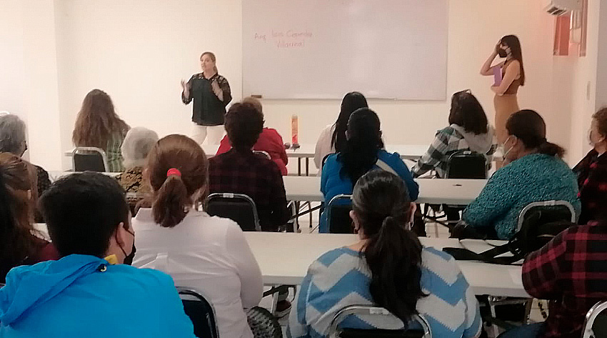 <strong>Instituto de la Mujer prepara el “Paseo de las Emprendedoras”</strong>