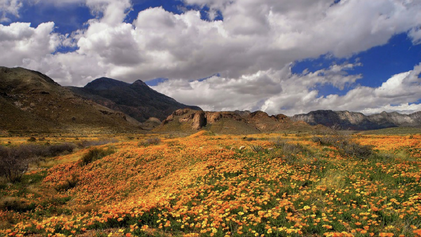 El impulso para un nuevo monumento nacional en el oeste de Texas