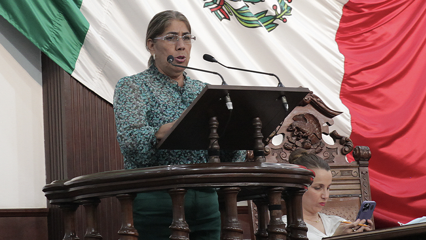 “Es importante fomentar programas de prevención para evitar conductas suicidas”: Teresa Meraz.