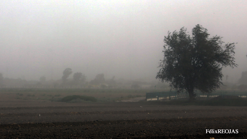 <strong>PC Torreón alerta por fuertes rachas de viento en las próximas horas</strong>