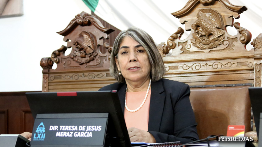 Diputada Teresa Meraz, busca salvaguardar el patrimonio de las mujeres víctimas de violencia económica