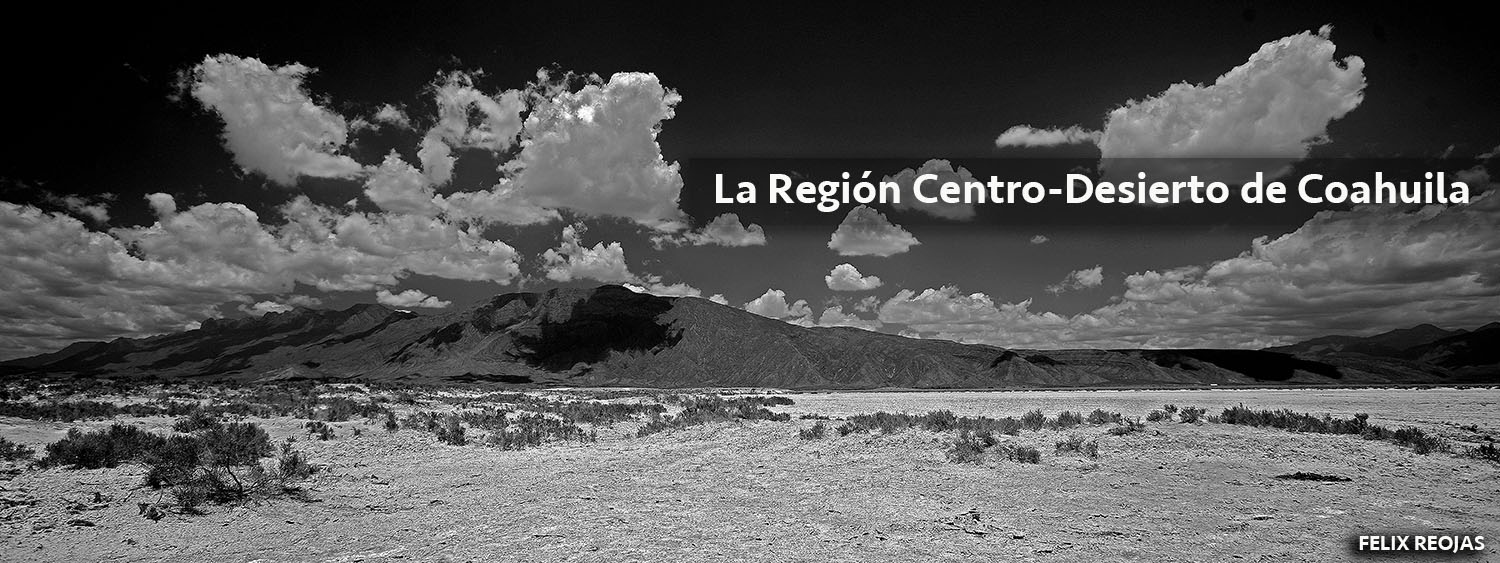 La Región Centro-Desierto de Coahuila es una región situada en la parte centro noroeste del estado. Tiene una superficie de 61,706 km²