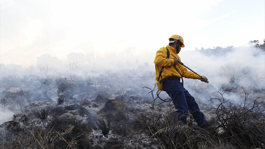 <strong>Abre Gobierno de Saltillo centros de acopio para héroes forestales</strong>