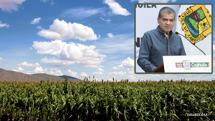 Coahuila entregó 300 toneladas de sorgo a productores, gobernador Riquelme