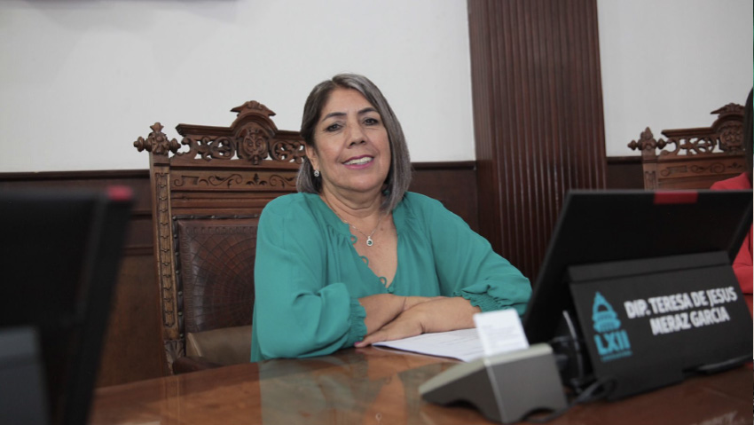 “El provocar un incendio con alevosía, es un delito  contra el derecho al medio ambiente”, diputada Teresa Meraz.