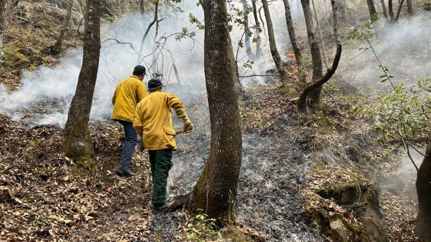 <strong>Participa Municipio en combate al fuego en Cañón de San Lorenzo</strong>