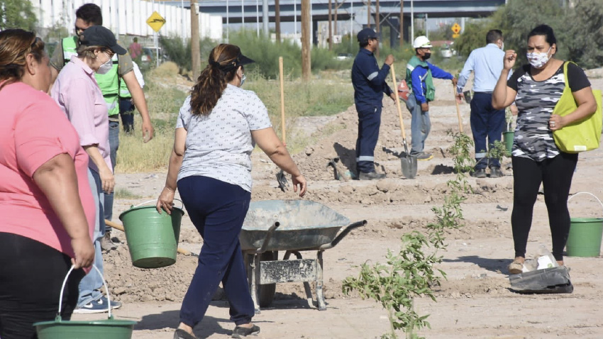 <strong>Avanza programa de forestación en Torreón</strong>