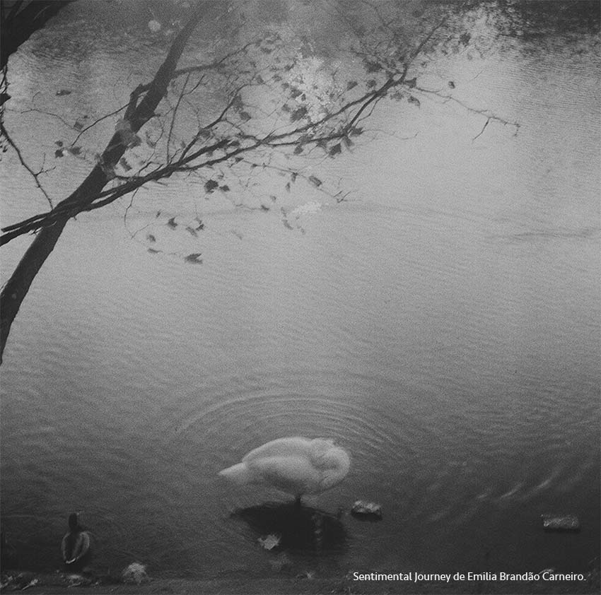 La fotógrafa Emilia Brandão Carneiro captura la intimidad y el romanticismo del río Sena 