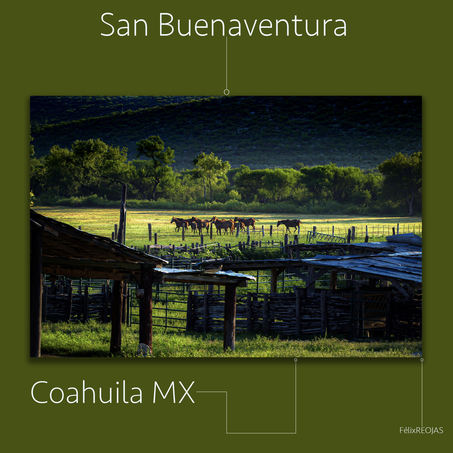 La población del hato ganadero de San Buenaventura, es aproximadamente de unas 150 mil cabezas en el municipio, entre vacas, vientres, becerros, novillos, además del gran desarrollo equino de la región.