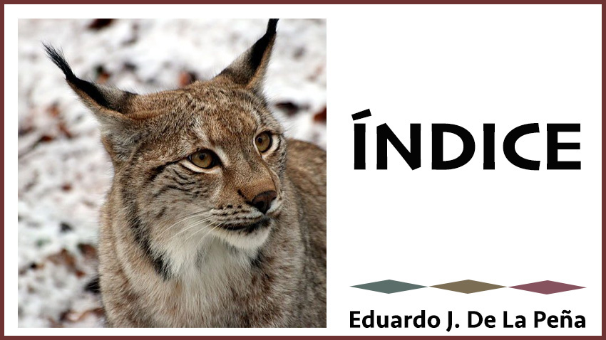 Índice – Eduardo J. De La Peña