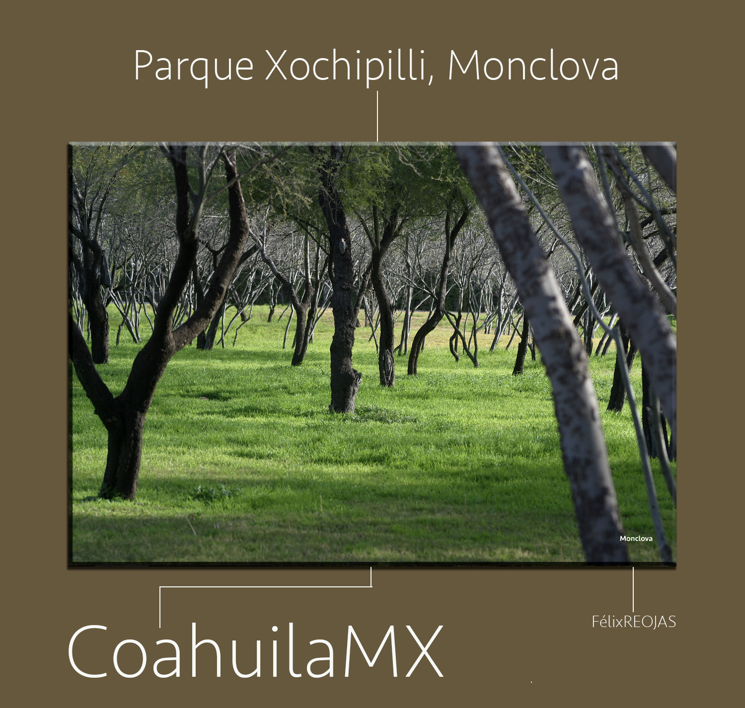 El Parque Xochipilli está en Monclova, alberga una amplia biodiversidad de especies vegetales y animales.