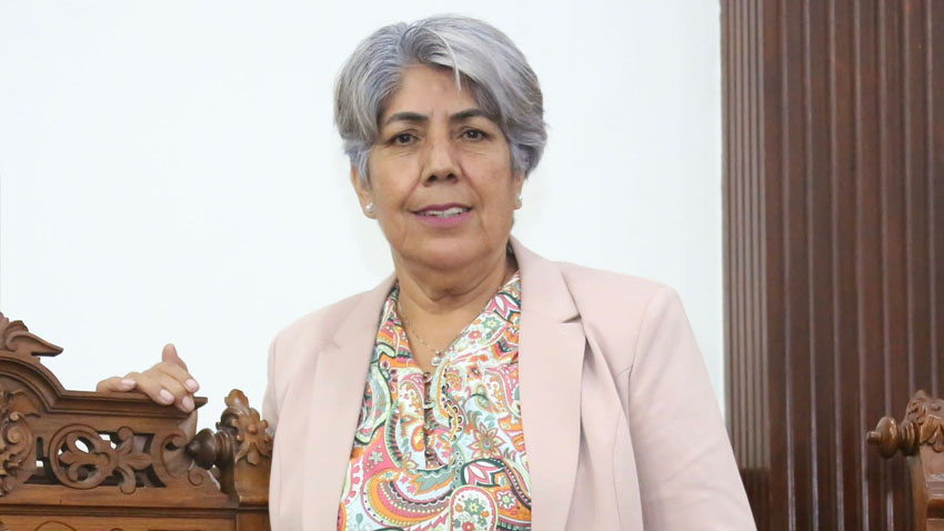 <strong>“Las Trabajadoras del Hogar deben ser inscritas ante el Instituto Mexicano del Seguro Social (IMSS)” Diputada Teresa Meraz. </strong>