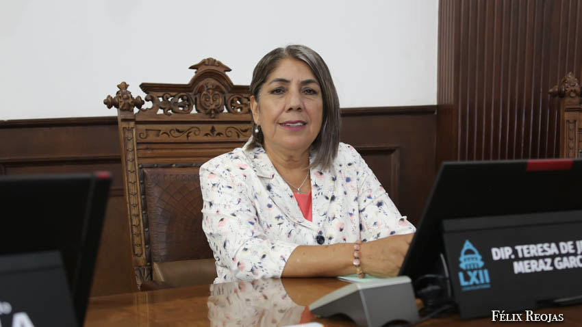 <strong>“Es un fraude el pasaporte permanente que se ofrece en redes sociales o en páginas electrónicas falsas” Diputada Teresa Meraz. </strong>