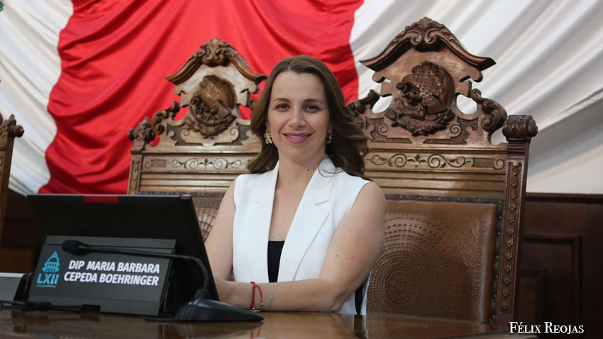 <strong>Plantea diputada María Bárbara Cepeda se refuercen campañas sobre prohibición del uso de bolsas de plástico</strong><strong></strong>