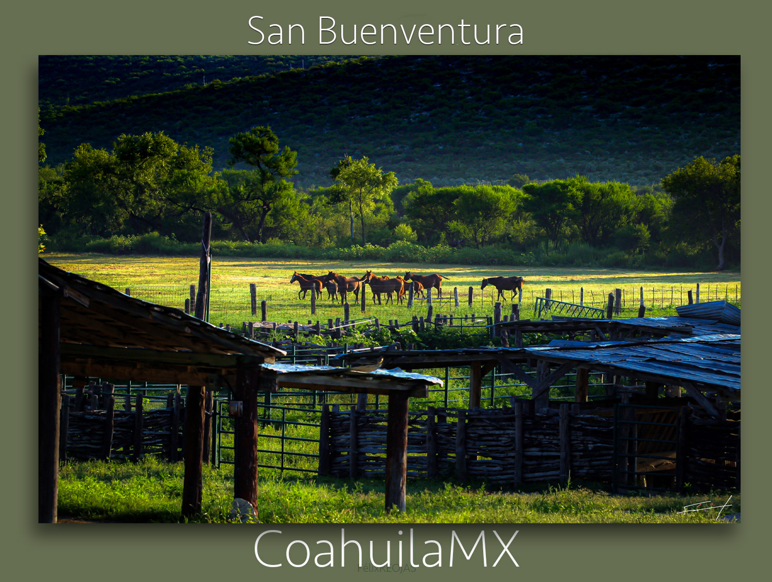 San Buenaventura es una ciudad del estado mexicano de Coahuila de Zaragoza, localizada en el centro del mismo, entre Monclova y Cuatrocienegas.