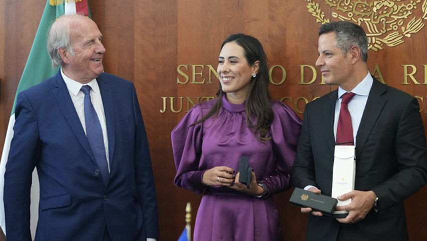 Participa Cecilia Guadiana en reunión con el Grupo de Amistad Francia-México-Países de Centroamérica