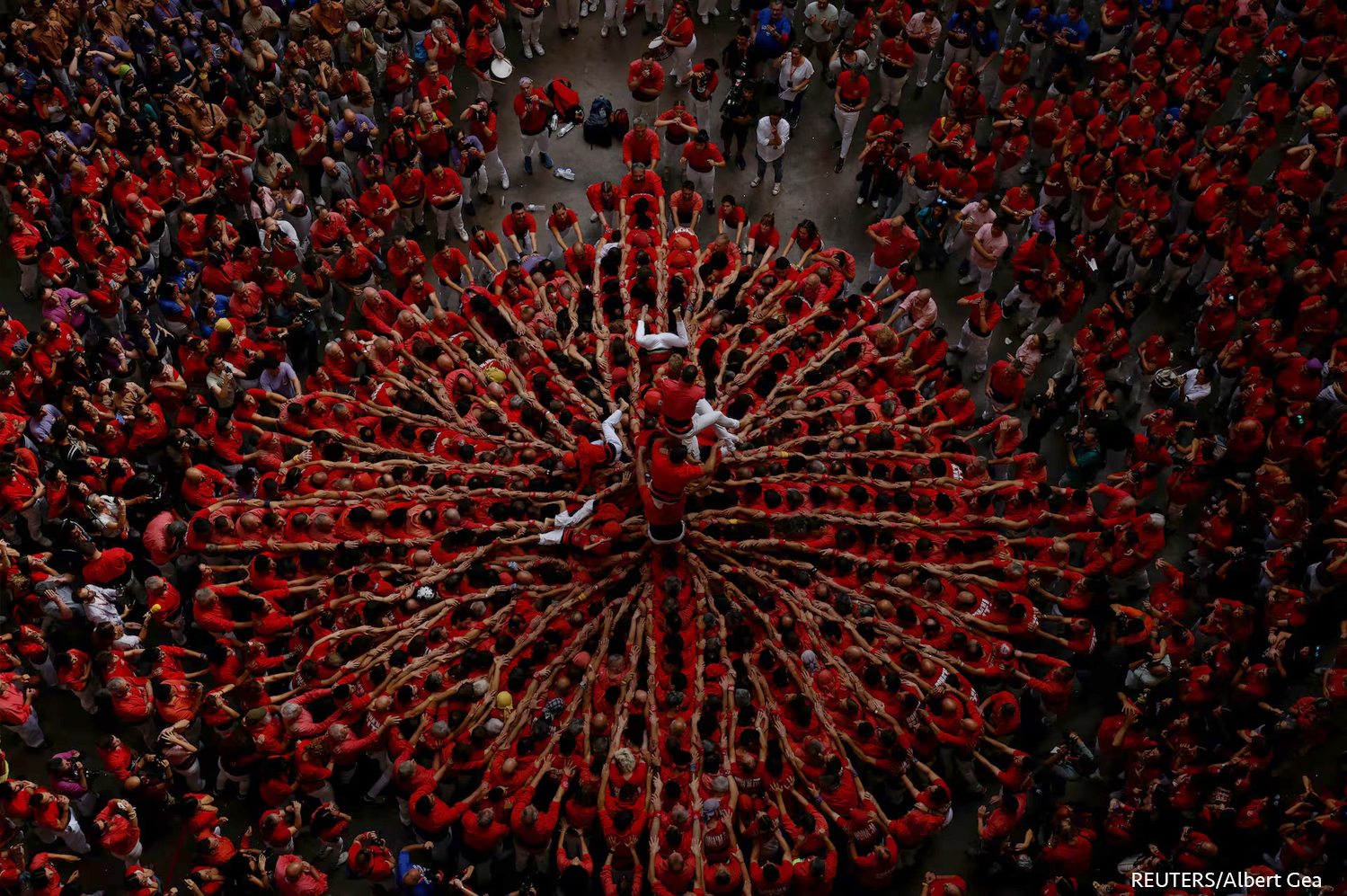 Los miembros del grupo «Colla Joves Xiquets de Valls» comienzan a descender tras formar un «castell» durante la competición bianual de torres humanas en Tarragona, España