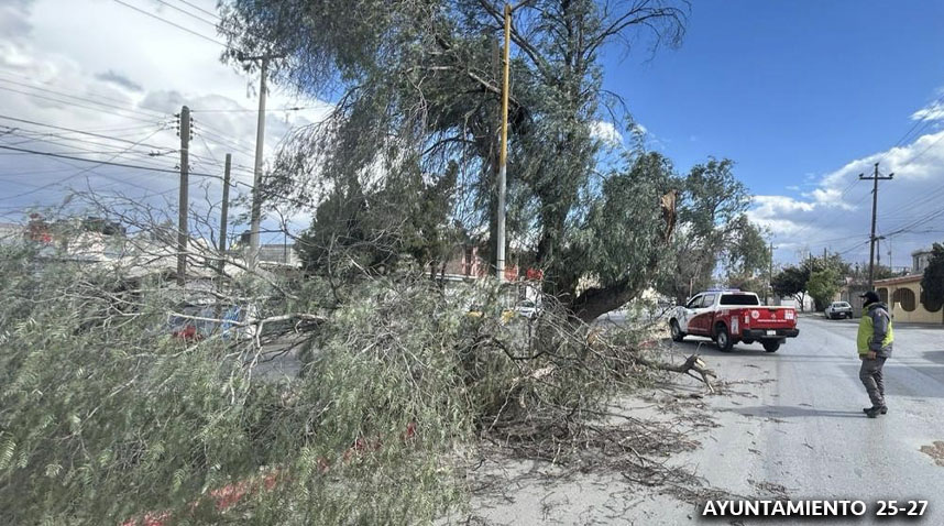 Protección Civil de Saltillo atiende 28 reportes por vientos fuertes