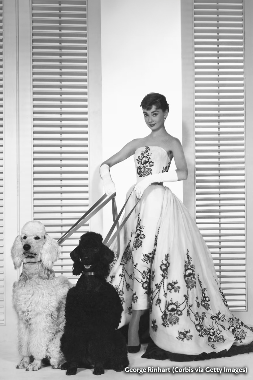 Audrey Hepburn 1954