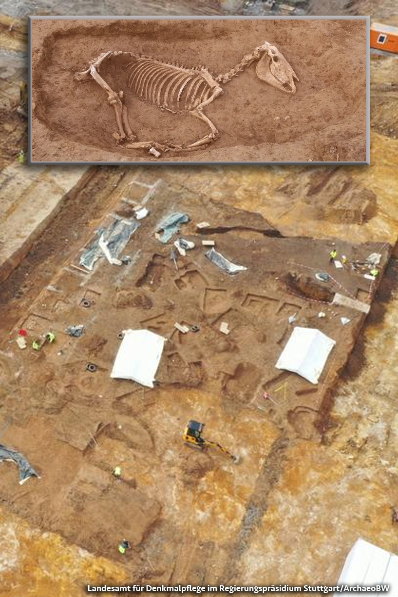 Hallan raro cementerio con más de cien caballos en Alemania