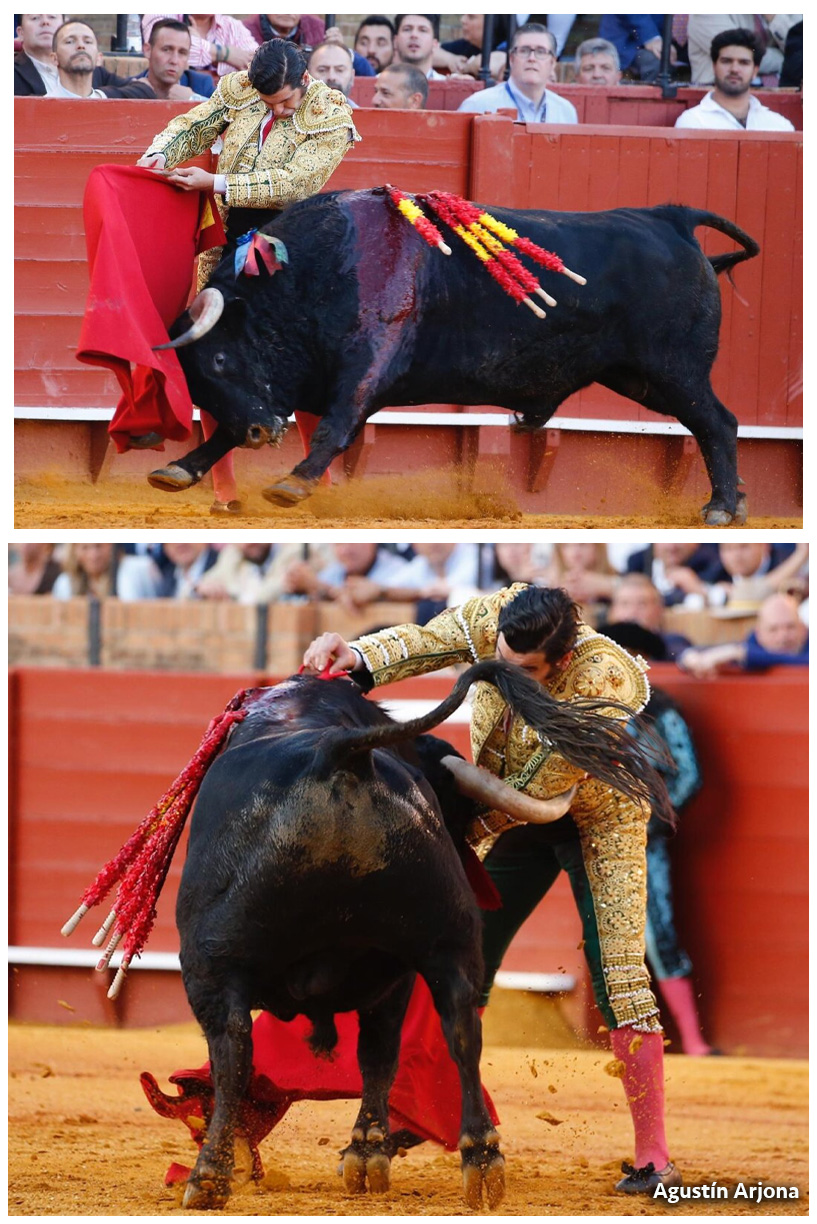 Morante revienta el cónclave de Sevilla y se proclama Papa del toreo