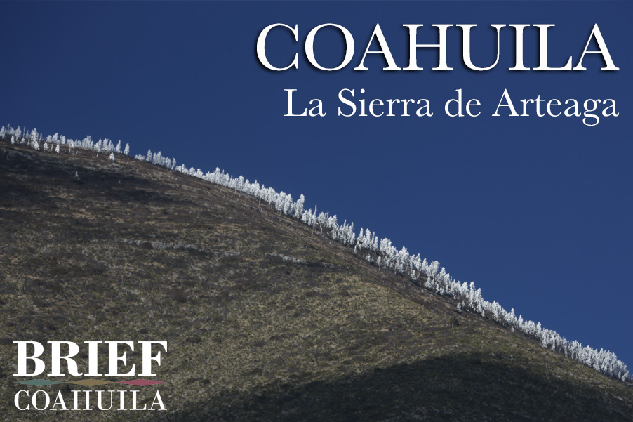 publicidad3