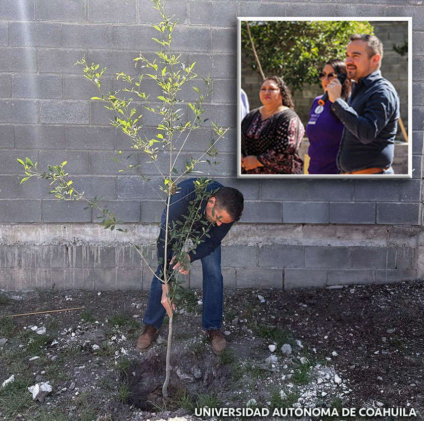 Reforestan UAdeC y SEDENA la Facultad de Ciencias de la Comunicación