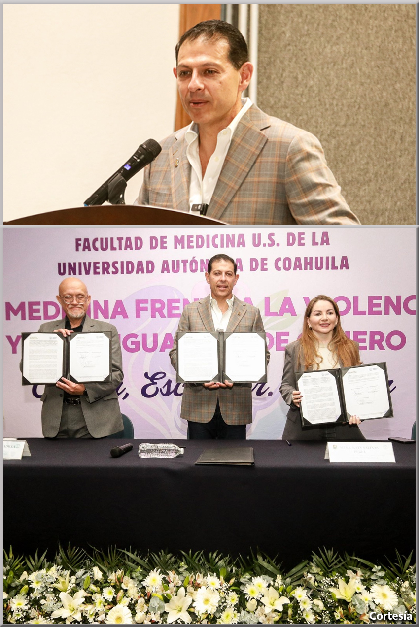 Alianza institucional para la atención a víctimas de violencia de género