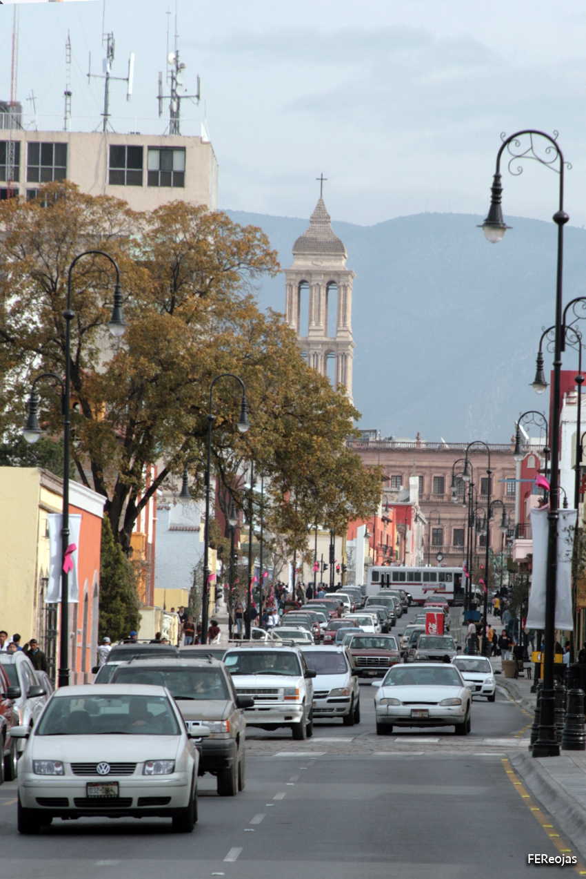Aprueba Cabildo conformación del Comité Ciudadano del Centro de Saltillo