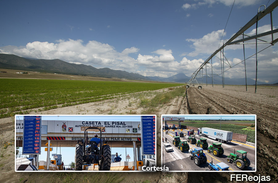 Crisis estructural y demandas de rentabilidad en el sector agrícola mexicano