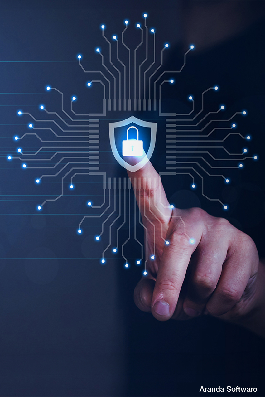 Déficit de protección digital en el territorio nacional