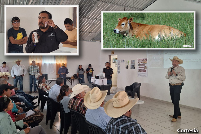COAHUILA REFUERZA MEDIDAS SANITARIAS PARA PROTEGER EL GANADO