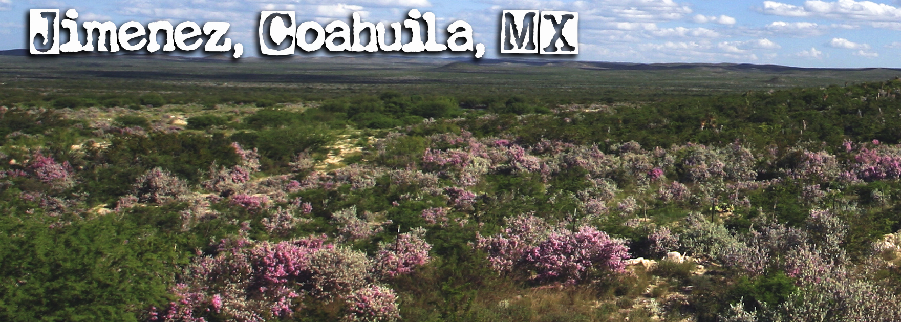 publicidad1