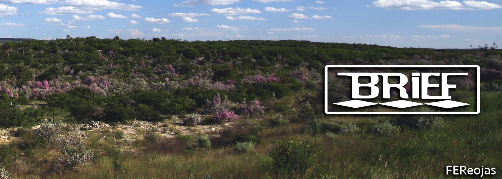 publicidad2