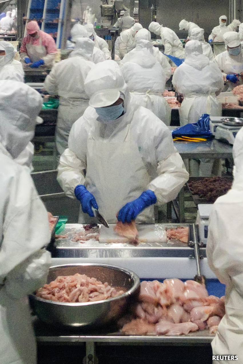 Las exportaciones chinas realmente tienen futuro y alas.