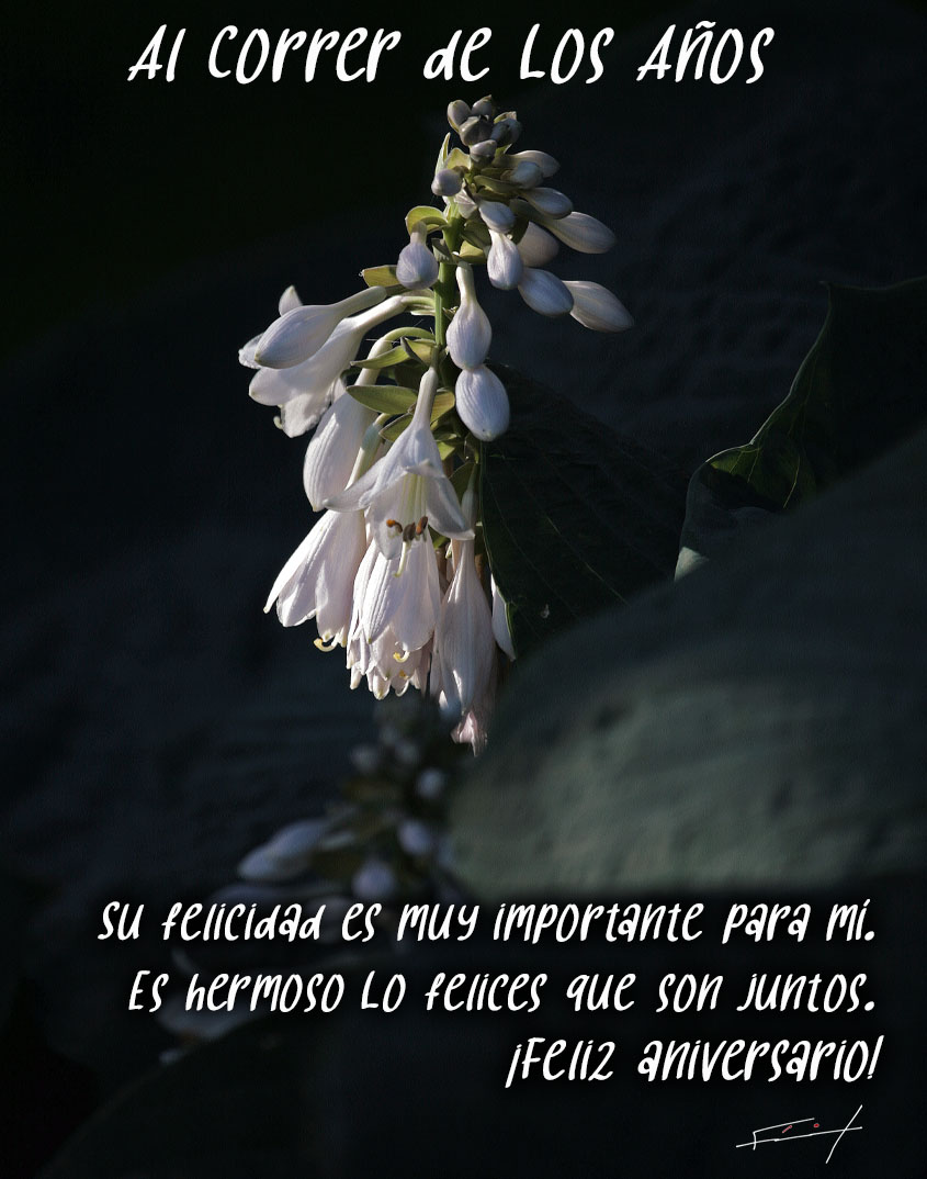 Al correr de la pluma